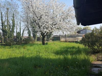 Casa indipendente su 4 lati a Cigliano