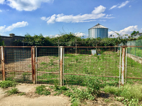 Cascinale libero su tre lati a Cigliano